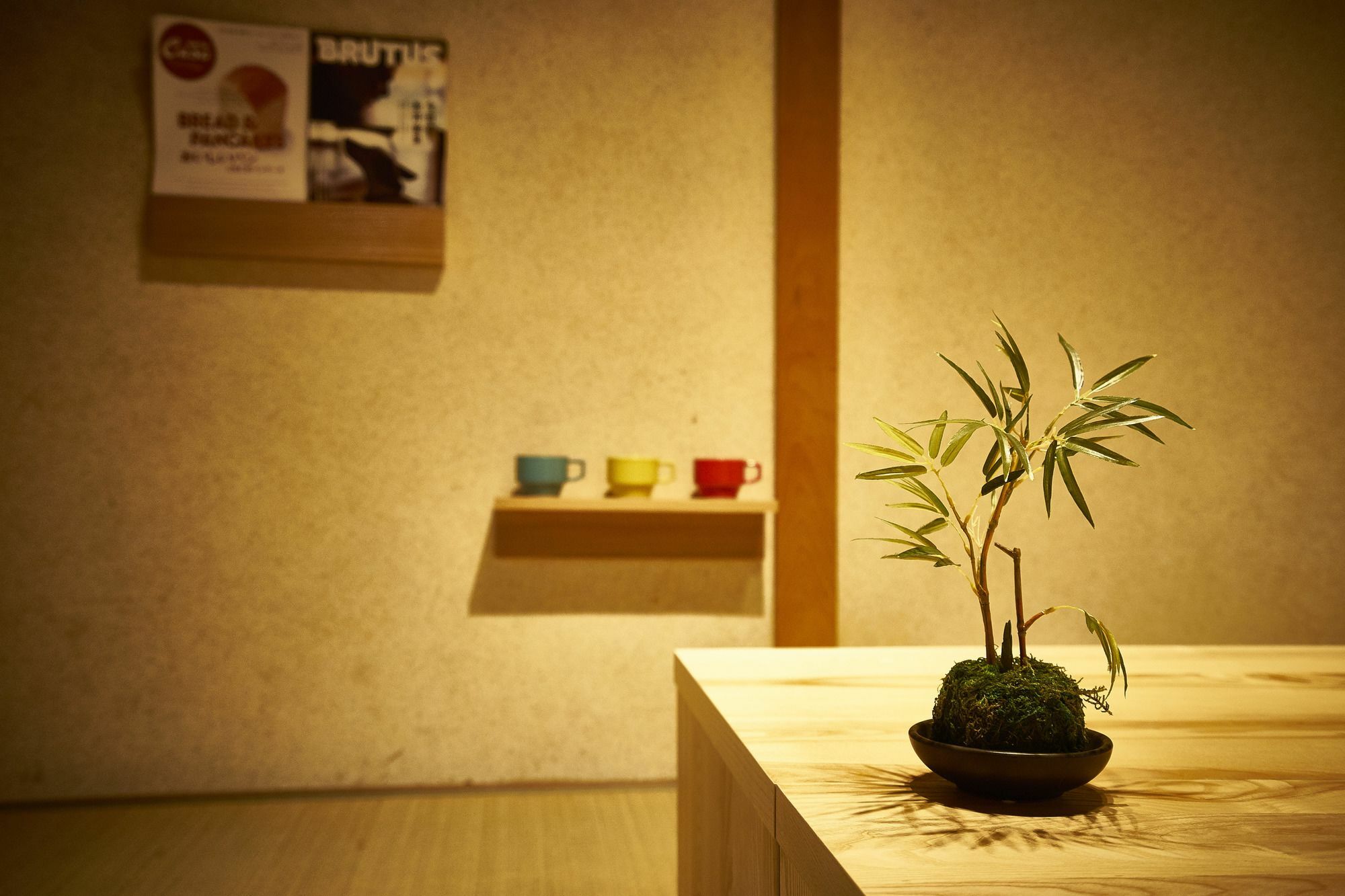 Villa Miyanoan Kyōto Esterno foto